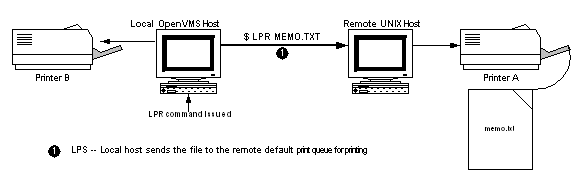 Fig14-1.gif