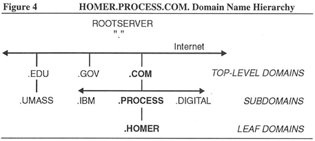 Figure 4: HOMER.PROCESS.COM. Domain Name Hierarchy