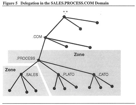 Figure 5: Delegation in the SALES.PROCESS.COM Domain