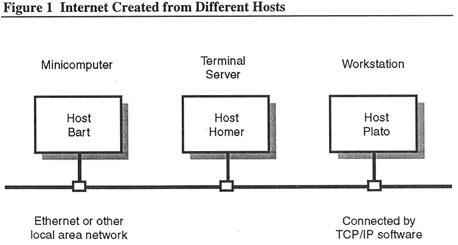 Figure 1: Internet Created from Different Hosts